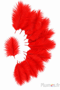 Struisvogel Bellies -8-13 cm - rood